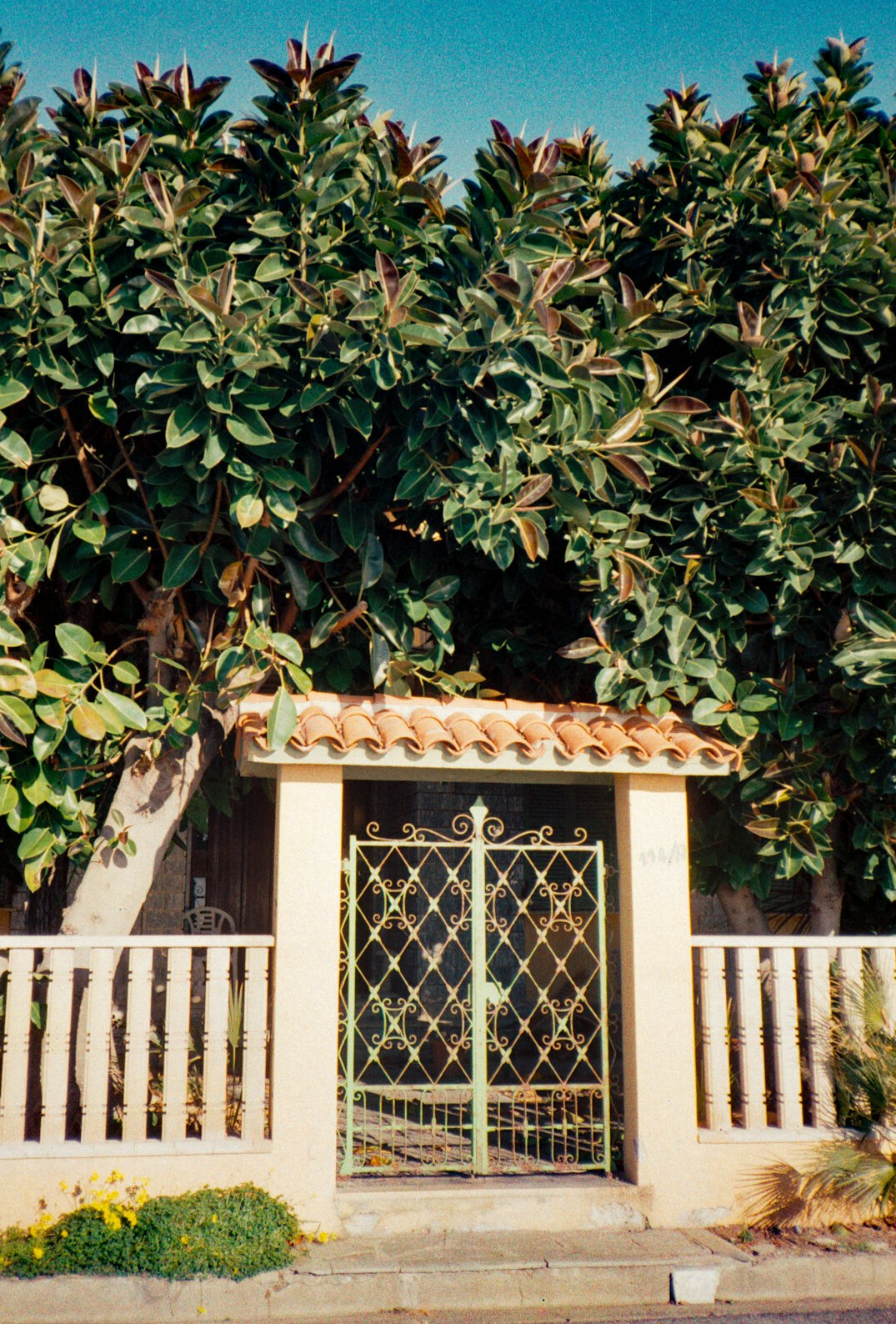 Warm wood and stone entrance of a coastal residence