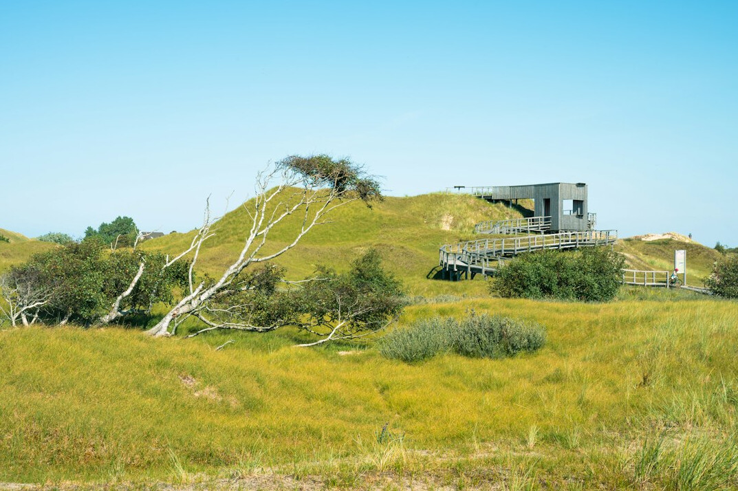 Sculptural modern beach house among dunes