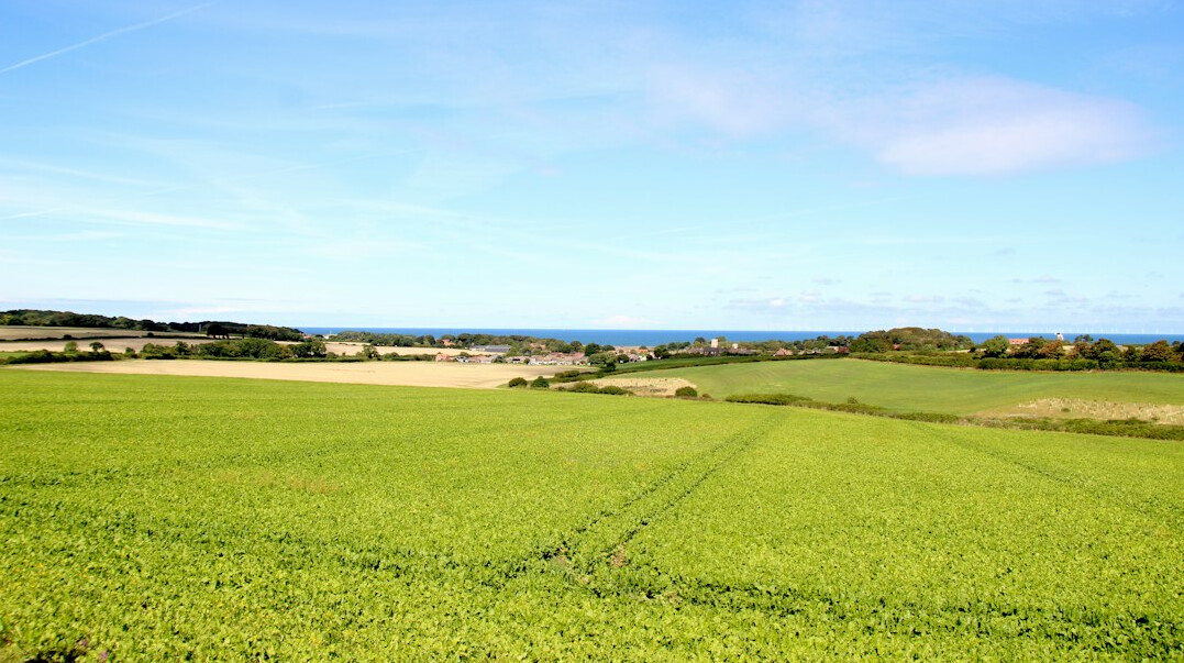 Rural luxury estate with fields and distant ocean view