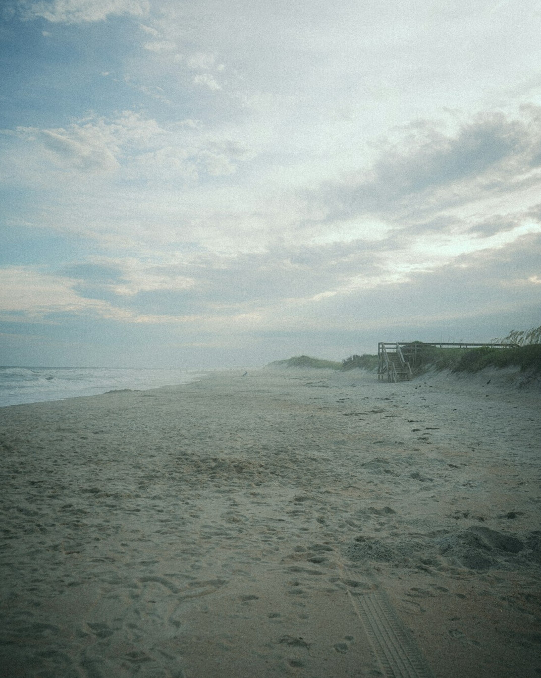 Horses walking along an empty beach at sunset